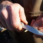 Intro to grafting: knife work